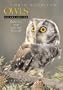 North American Owls, 2nd Edition