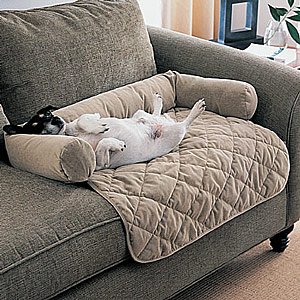 Couch Pet Pad, Large, Gray