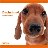 2009 Dachshund Artlist Square Wall Calendar Multilingual Edition 2009 Dachshund Artlist Square Wall Calendar Multilingual Edition