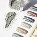 Travelmall Holo Pure Powder Holographic Bright Shinning Magic Mirror Laser Nail Powder Nail Glitter Rainbow Pigment Manicure Chrome Pigments With 2 nail brushes
