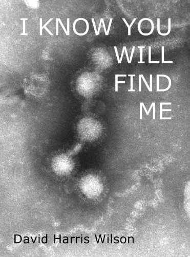 I Know You Will Find Me