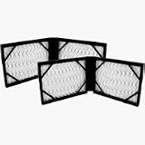 Bionaire BAPF1500 Air Filter, 2 per package by Bionaire