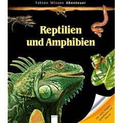 Reptilien und Amphibien