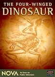 NOVA: The Four-Winged Dinosaur