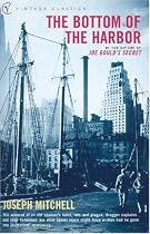 The Bottom of the Harbor (Vintage classics)
