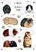 I Love Guinea Pigs Fridge Magnets