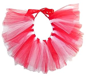PAWPATU Team Spirit Tulle Tutu for Large Dogs, Handcrafted in USA, Red and White