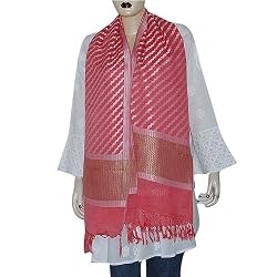 Designer Scarf Chiffon Silk Womans Accessories 22 x 72 inches