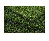 Pet Supplies : PETaPOTTY Mini Synthetic Grass