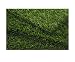 Pet Supplies : PETaPOTTY Mini Synthetic Grass