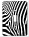 Zebra Skin Print Wall Plate Switchplate Cover Single Toggle Switch Plate Lightswitch