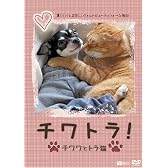 チワトラ!チワワとトラ猫★凛と正宗にぃちゃんのビューティフォーな毎日! [DVD]