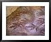 Ancient Hand and Rhea Print Paintings, Cave of the Hands, Santa Cruz Province, Patagonia, Argentina Framed Art Poster Print by Lin Alder, 31x25