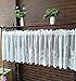 Topmodehome Lace Floral Embroidered Semi Sheer Curtain Window Valance for Kitchen Cafe Dinning Bath Room 1 Pcs (White)