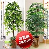 ���i�̏ڍ�