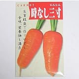 在来固定種　野菜の種「時なし三寸人参」8ml〔約1900粒〕　畑懐〔はふう〕