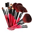 Shany Professional Cosmetic Brush Set with Pouch (Color May Vary), 13 pc.
