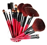 Shany Professional Cosmetic Brush Set with Pouch (Color May Vary), 13 pc.