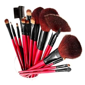 Set A Shopping Price Drop Alert For Shany Professional Cosmetic Brush Set with Pouch (Color May Vary), 13 pc.