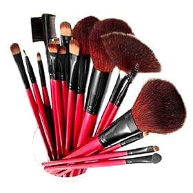 Shany Professional Cosmetic Brush Set with Pouch (Color May Vary), 13 pc.