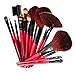 SHANY Professional 13-Piece Mỹ phẩm Brush Set với ép, Bộ 12 Bàn chải và 1 Túi, đỏ