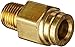 Legris 3115 60 14DOT Nylon & Nickel-Plated Brass Push-To-Connect Fitting, Complies with DOT, Inline Connector, 3/8