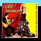 Flamenco School, Olé Andalucía!