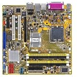 Review Asus P5B-VM / Asus P5B-VM LGA775 Intel 965G 4xDDR2 Micro ATX Motherboard with Onboard VGA, Audio, Gb LAN, USB & Firewire