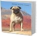 pug49  - Pugs 2010 Planner