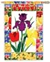 Spring Blossoms House Flag