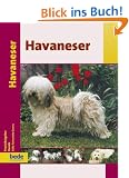 Havaneser, Praxisratgeber: Ein Ratgeber zur artgerechten Haltung eines Havaneser