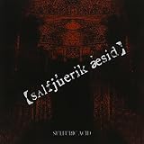 s∧lfjuerik aesid(通常盤)