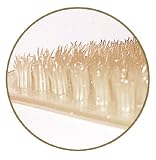 51Opa26tSPL. SL160  Ginsey Aquatouch Soft As Grass Bath Mat, Bone