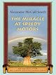 The Miracle at Speedy Motors