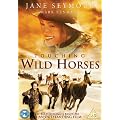 Touching Wild Horses [DVD]