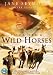 Touching Wild Horses [DVD]
