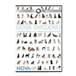 Nova - Dogs Decoded