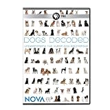 Nova: Dogs Decoded