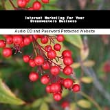 Internet Marketing For Your Dreamweavers Business