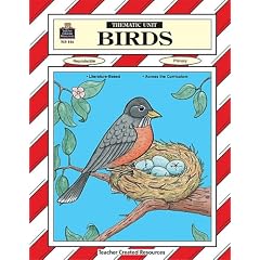 Teaching about Birds