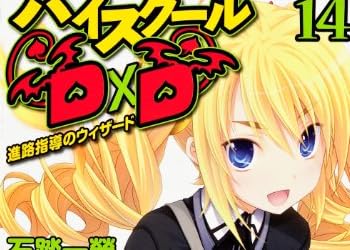 ハイスクールD×D 14  進路指導のウィザード (富士見ファンタジア文庫)