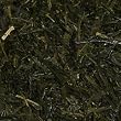 soushun green tea