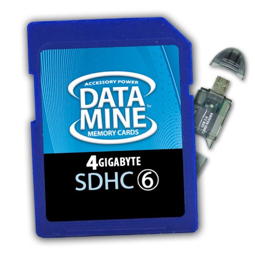 DataMINE 4GB SDHC Class 6 Memory Card Featuring DataSafe Technology for 100% FAST AND RELIABLE Transfers - Ideal for your Digital Cameras and Camcorders