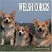 Welsh Corgis 2008 Wall Calendars