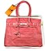 Banane Taipei / Banana Taipei Birkin Printed Canvas Bag - Red Orange Crocodile