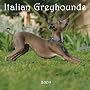Greyhounds, Italian 2009 Square Wall Calendar (Multilingual Edition)