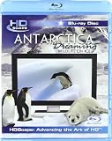 Buy : Antarctica Dreaming [Blu-ray]