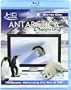 Antarctica Dreaming [Blu-ray]