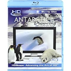 Antarctica Dreaming - Wildlife On Ice [Blu-ray] [2005][Region Free]