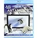 Antarctica Dreaming - Wildlife On Ice [Blu-ray] [2005] [2008] [Region Free]
